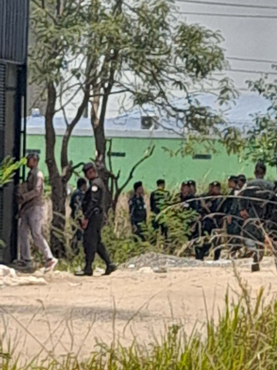 波贝 又一打野窝点被宪兵警察围了