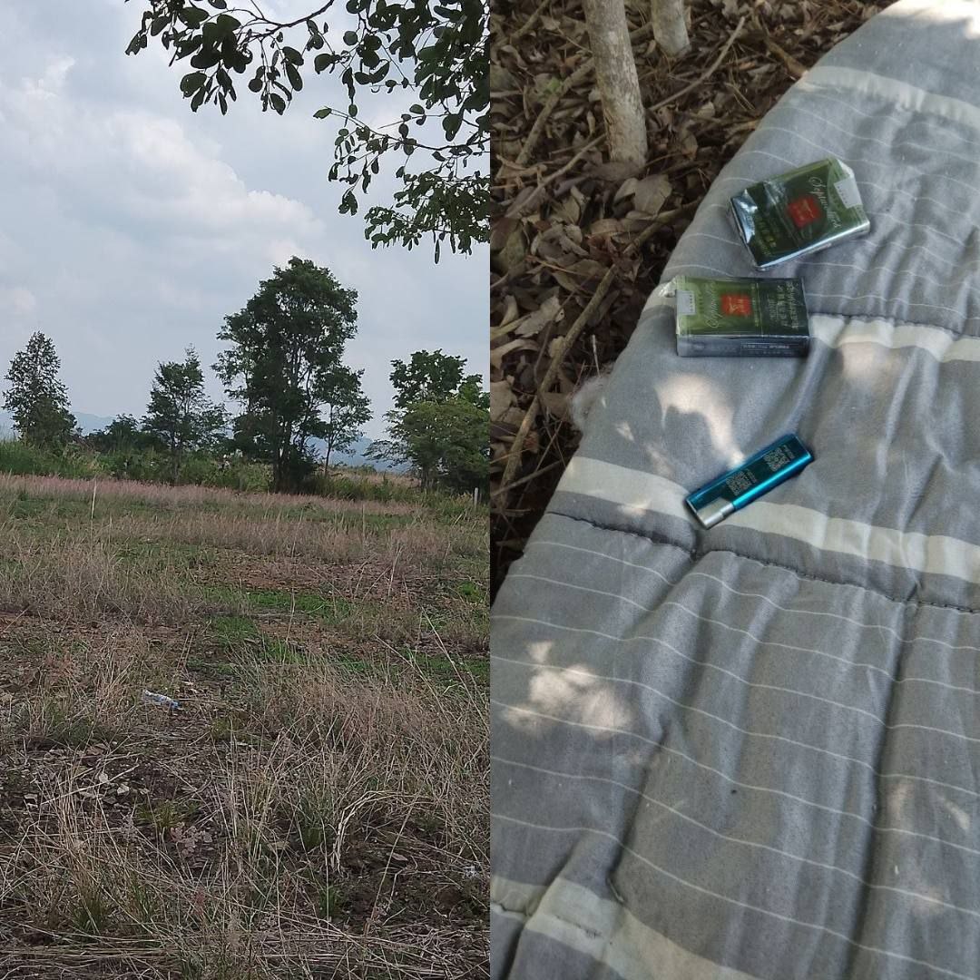 我是从波哥山下来的小推推，自从波哥山解散之后，我就像一条没人管的流浪狗一样，到处漂泊。